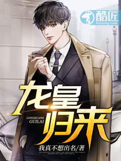 龙皇归来免费阅读