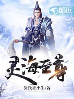 海翼至尊价格