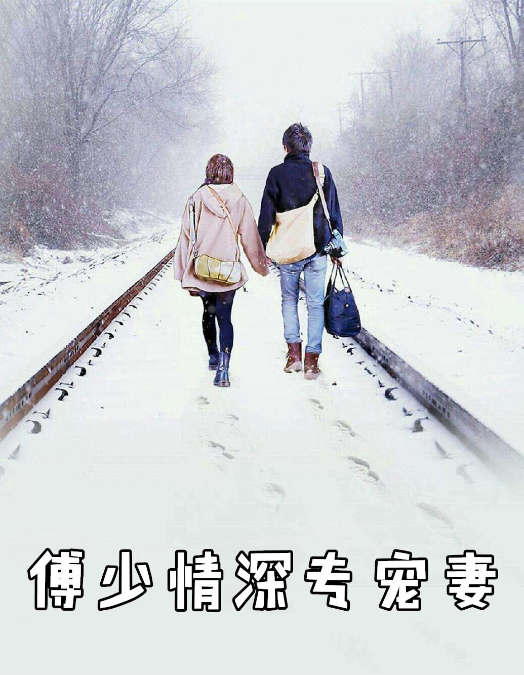 情深不晚傅少实力宠免费阅读