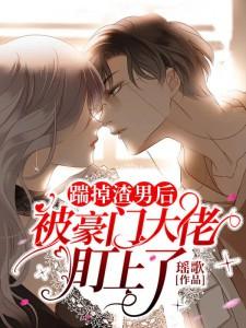 陆若晴封璟霆无广告