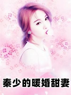 秦少暖宠 庄园小甜妻