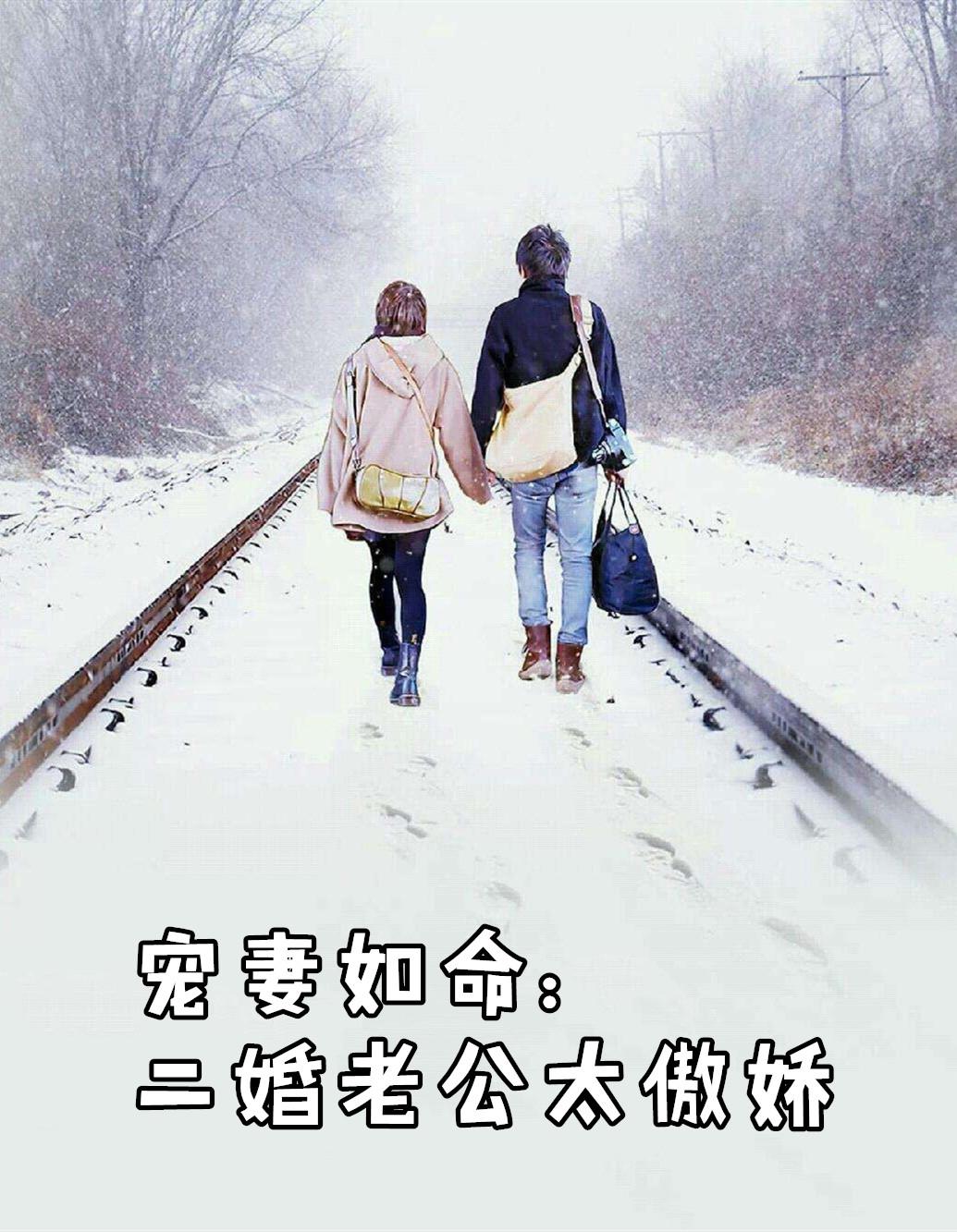 宠妻如命二婚老公太傲娇免费阅读