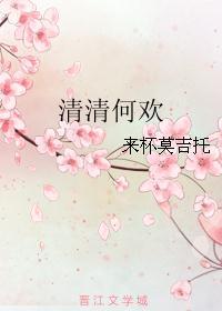 何清欢是什么意思