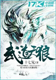 武道天狼txt免费全本