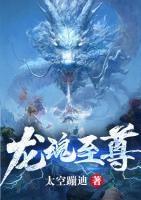 龙魂至尊萧琰无弹窗