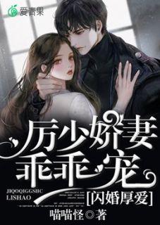 厉少的闪婚甜妻