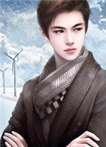 秦云萧淑妃TXT