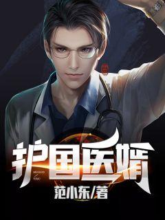 护国医婿免费观看