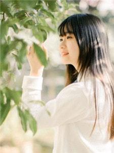 陆少宠妻太甜蜜