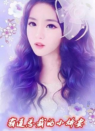 霸道总裁的小娇妻电视剧免费观看