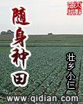 重生之奶爸大明星吴小天