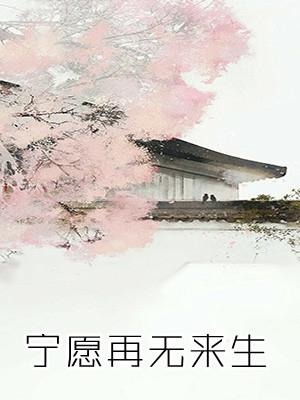 宁愿再无来生txt