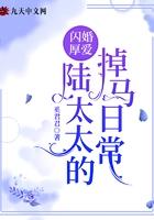 闪婚厚爱陆时