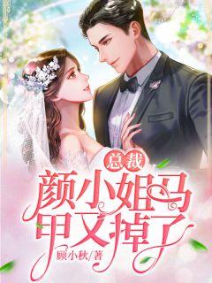 颜落傅向沉的