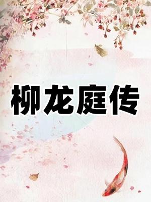 柳龙庭传30集