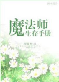 魔法师生存手册TXT