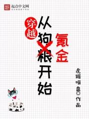 穿越从氪金开始txt新的一年
