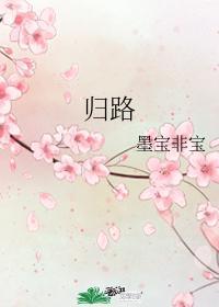归路遥控器密码