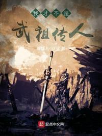 我才不是武祖传人txt