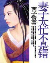 妻子太忙不是错百科