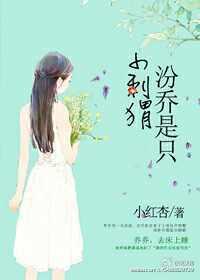 小红杏汾乔是只小刺猬