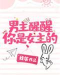 男主醒醒你是女主的! 作者青花燃盘