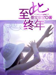 至此终年txt