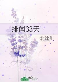 绯闻33天晋江