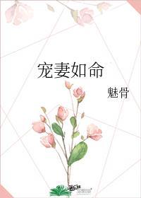 宠妻如命帝尊的倾城妃免费阅读全文