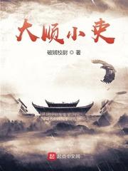 大顺小吏txt免费