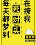 每天都梦到死对头在撩我 广播剧