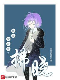 精灵宝可梦之拂晓夜天同居