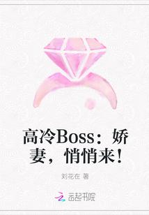 高冷boss的命定妻全文免费阅读