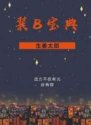 装b宝典微博车