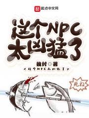 这个npc太凶猛了起点中文网