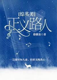 非标准正义[综英美