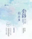 夫人你套路有点多TXT