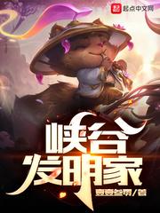 峡谷发明家是什么意思