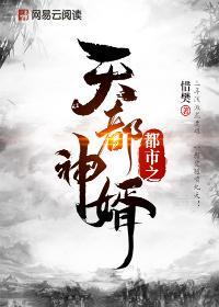 天都神婿全文免费阅读