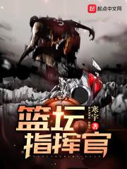 篮坛指挥官txt精校