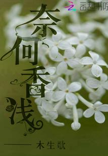 奈何缘浅下一句