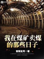 我在煤矿卖煤的那些日子txt