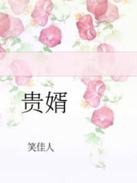 贵婿临门