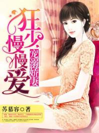 宠溺梅花书旗