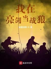我在亮剑当战狼最新