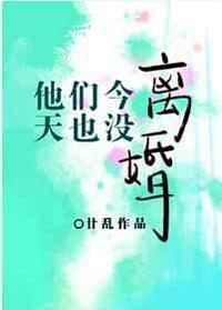 他们今天也没离婚 作者廿乱