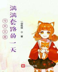 今天套路猫怎么样啊