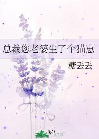 总裁您老婆生了个猫崽免费阅读