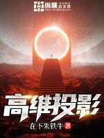 高维投影源到底可以改吗