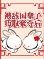 被敌国皇子巧取豪夺后txt作者风露沁酒